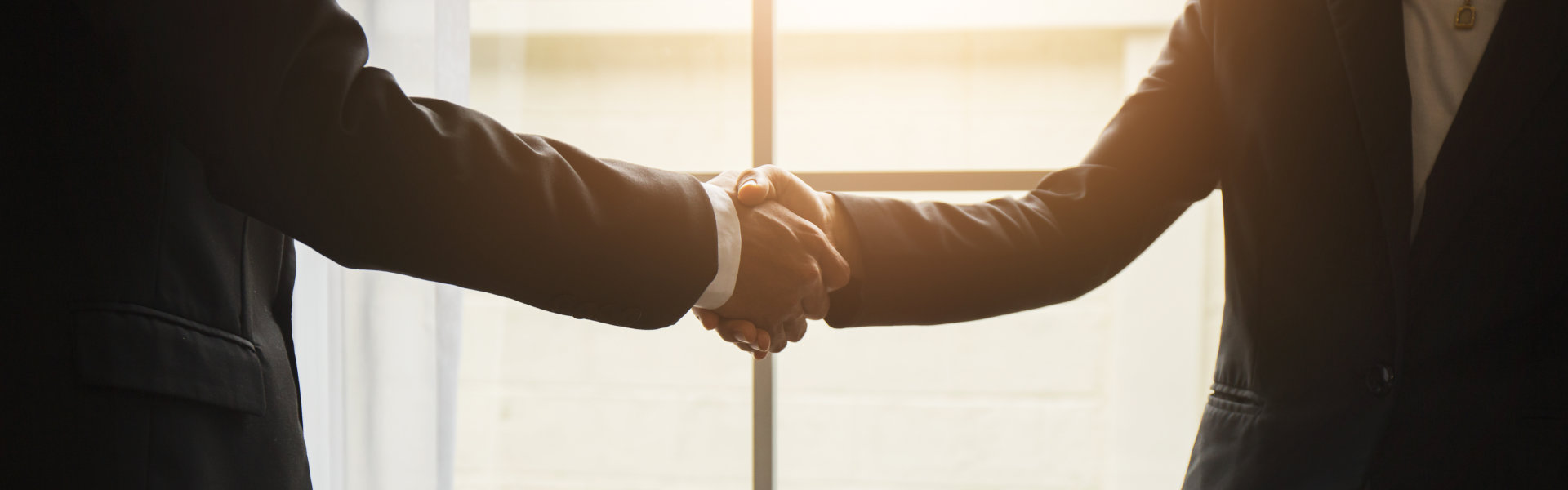 partners doing a handshake